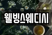 웰빙스웨디시