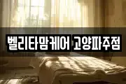 벨리타맘케어 고양파주점
