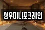 성우미니포크레인