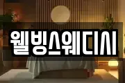 웰빙스웨디시