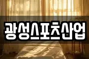 광성스포츠산업
