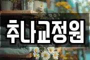 추나교정원