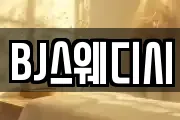 BJ스웨디시