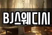 BJ스웨디시