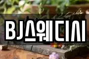 BJ스웨디시