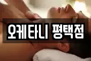 오케타니 평택점