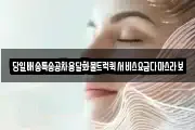 당일배송특송공차용달화물트럭퀵서비스요금다마스라보