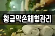 황금약손체형관리