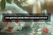 도어락설치현관문도어록게이트맨번호키삼성도어락비디오폰인터폰