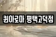 퀸아로마 평택고덕점