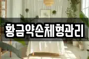 황금약손체형관리