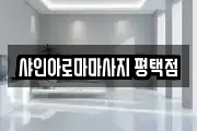샤인아로마마사지 평택점