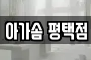 아가솜 평택점