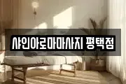 샤인아로마마사지 평택점