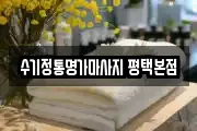 경기 평택시 비전동 마사지, 지압등 업체정보