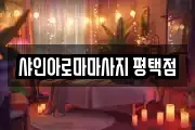 샤인아로마마사지 평택점