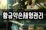 황금약손체형관리