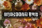 샤인아로마마사지 평택점