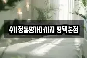 경기 평택시 마사지, 지압등 업체정보