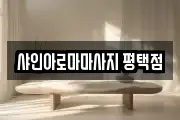 샤인아로마마사지 평택점