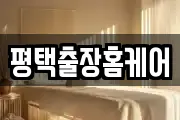 평택출장홈케어