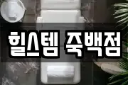 힐스템 죽백점