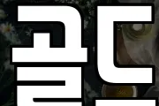 골드