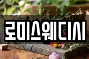 로미스웨디시