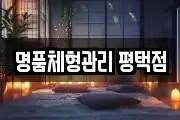 명품체형관리 평택점