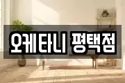오케타니 평택점