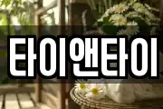 타이앤타이