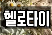 헬로타이