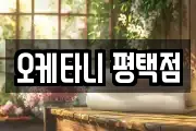 오케타니 평택점