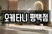 오케타니 평택점