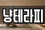 냥테라피