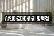 샤인아로마마사지 평택점