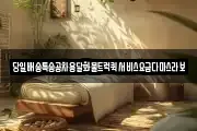 당일배송특송공차용달화물트럭퀵서비스요금다마스라보