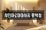 샤인아로마마사지 평택점
