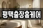 평택출장홈케어