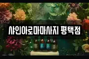 샤인아로마마사지 평택점