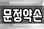 문정약손