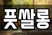 풋쌀롱