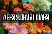 경기 하남시 망월동 마사지, 지압등 업체정보