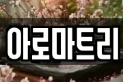 아로마트리