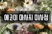 에코미 마사지 미사점