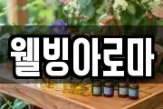 웰빙아로마