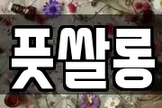 풋쌀롱