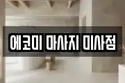 에코미 마사지 미사점