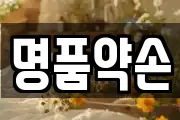 명품약손