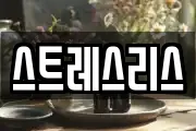 스트레스리스